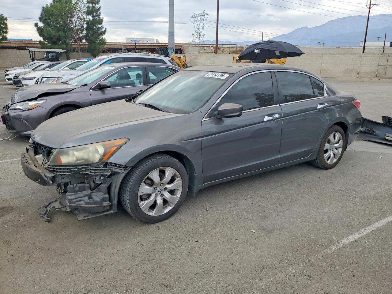 2010 Honda Accord Exl