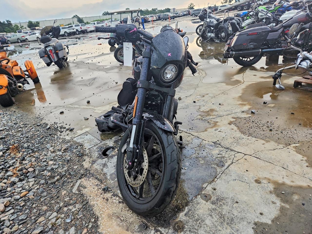 2025 Harley-Davidson Fxlrs - Фото 2