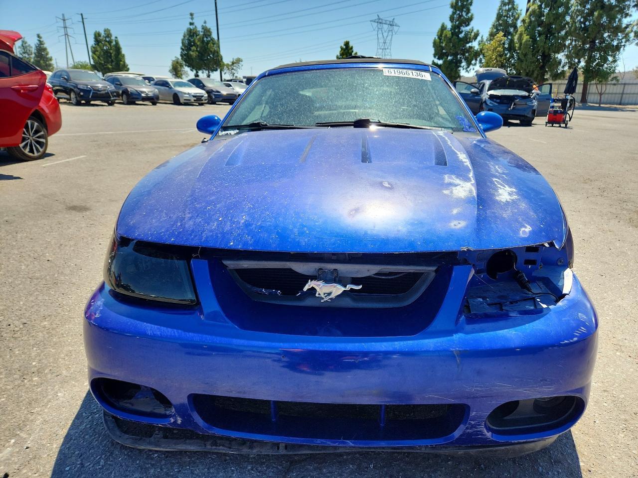 2003 Ford Mustang Cobra Svt - Фото 5
