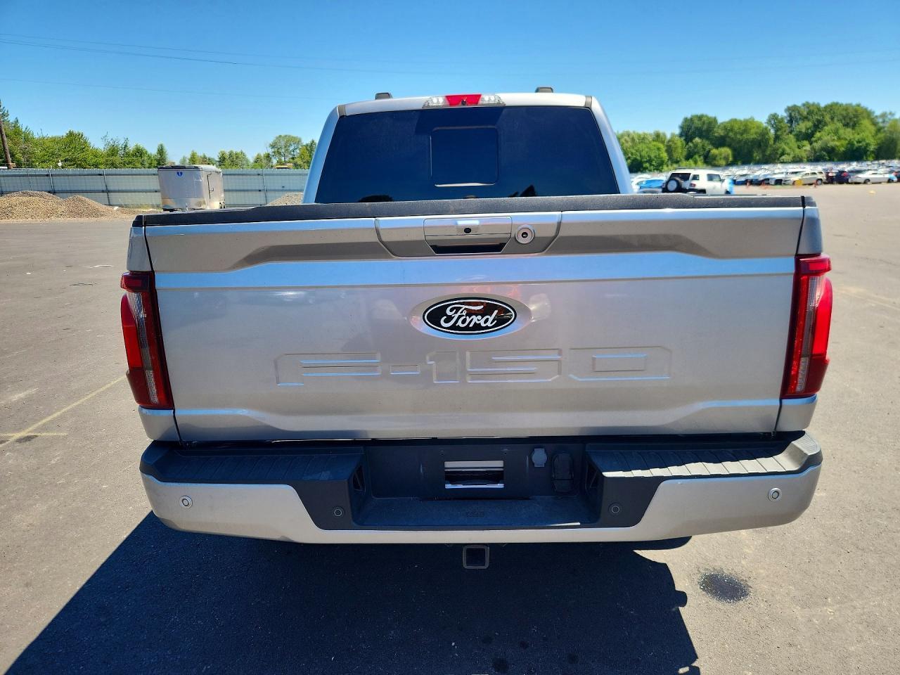 2024 Ford F150 Platinum - Image 6