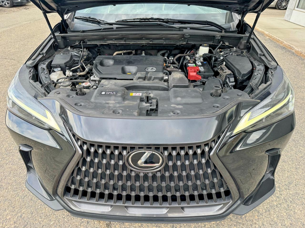 2022 Lexus Nx 250 - Image 7