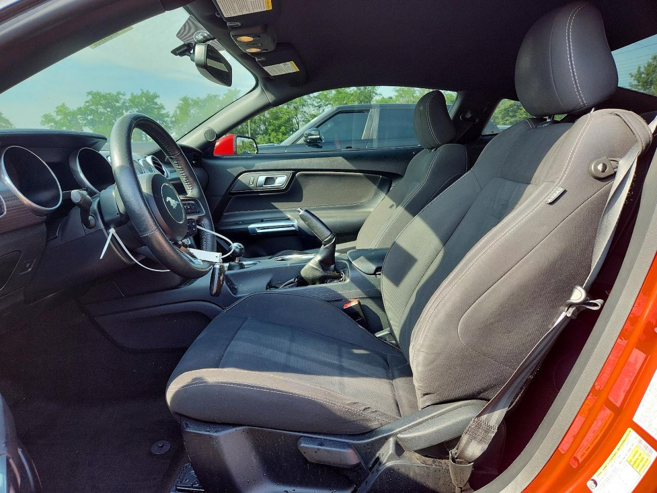 2019 Ford Mustang - Фото 7