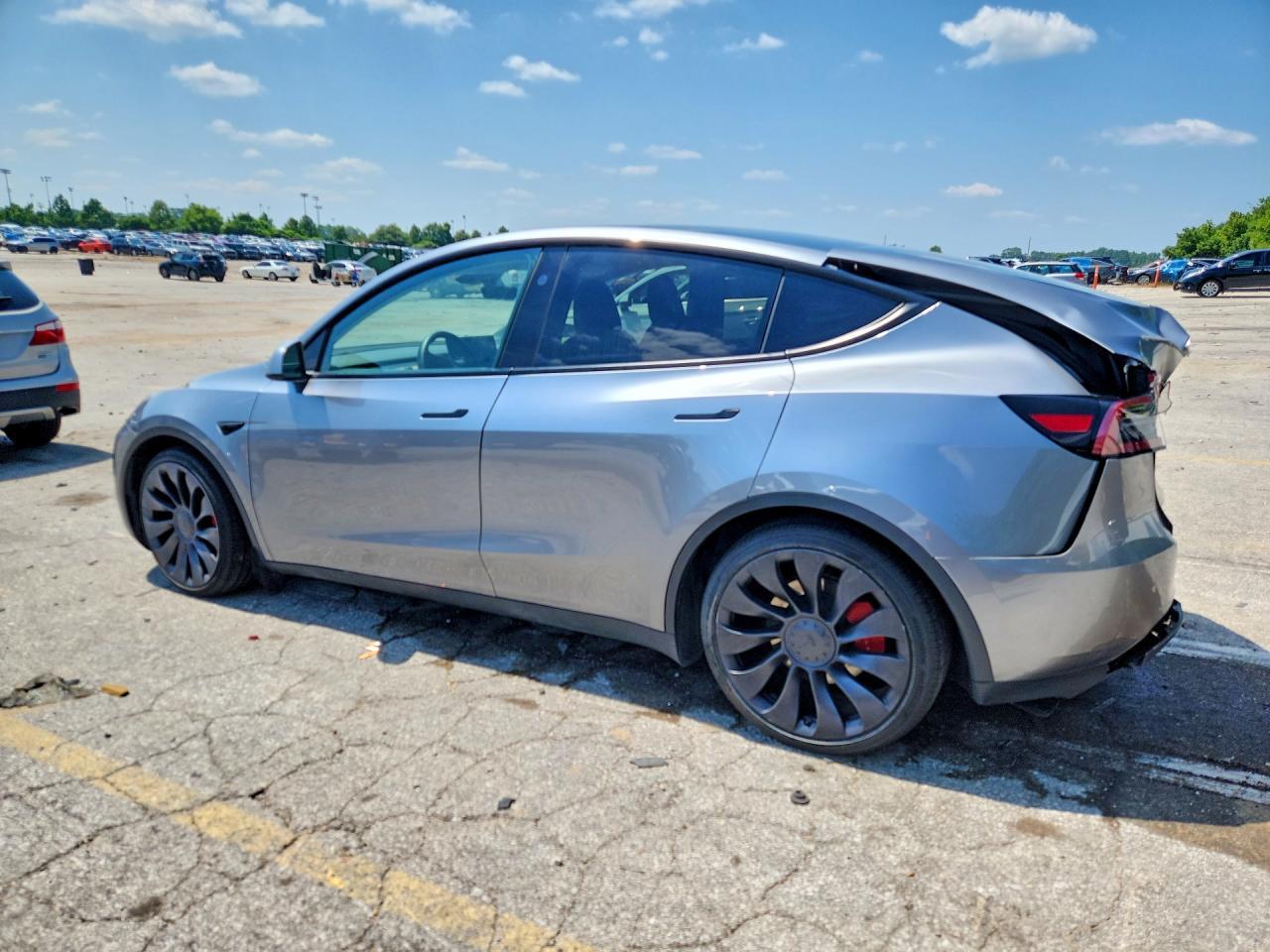 2024 Tesla Model Y - Фото 2