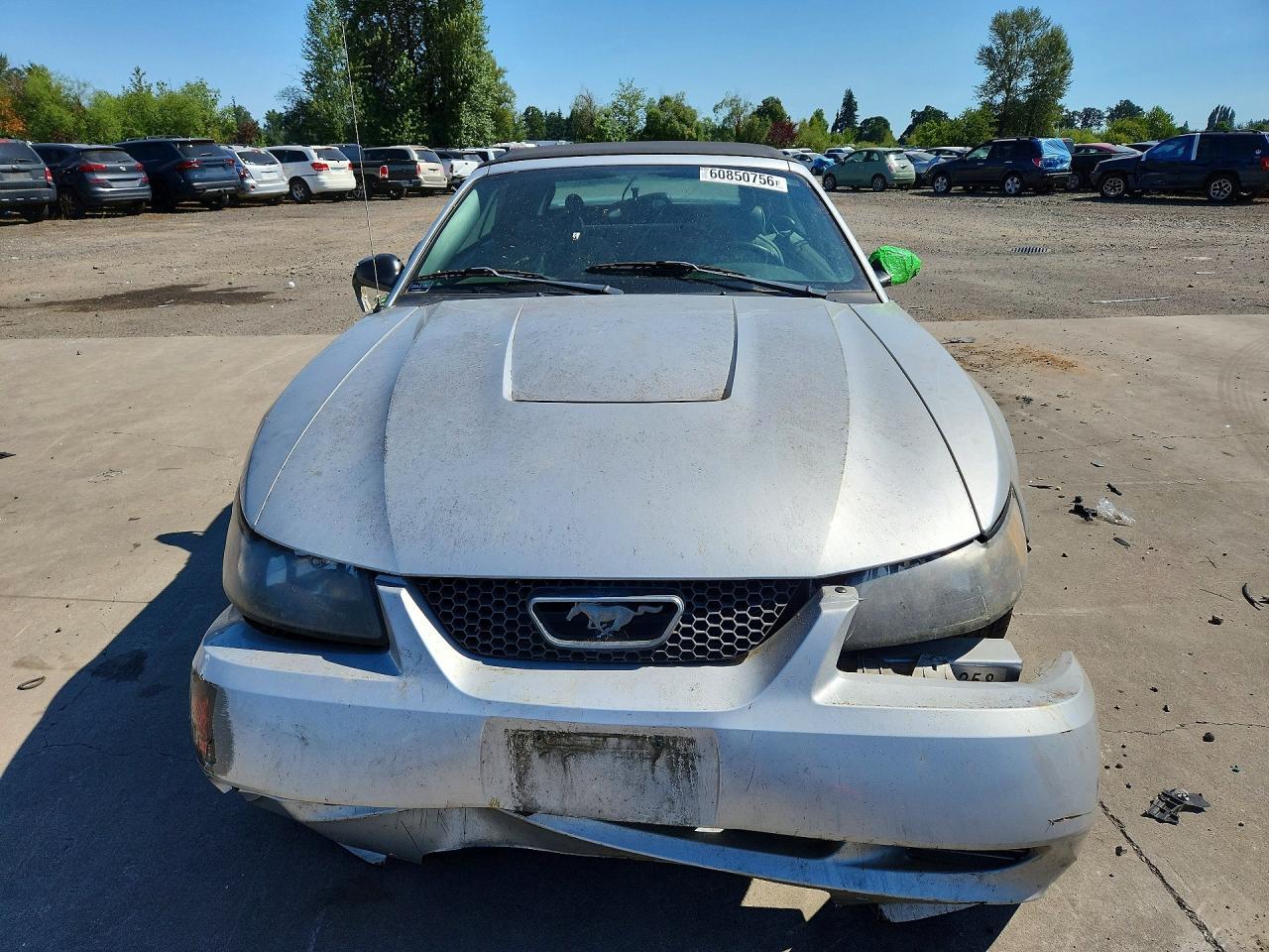 2004 Ford Mustang - Фото 5
