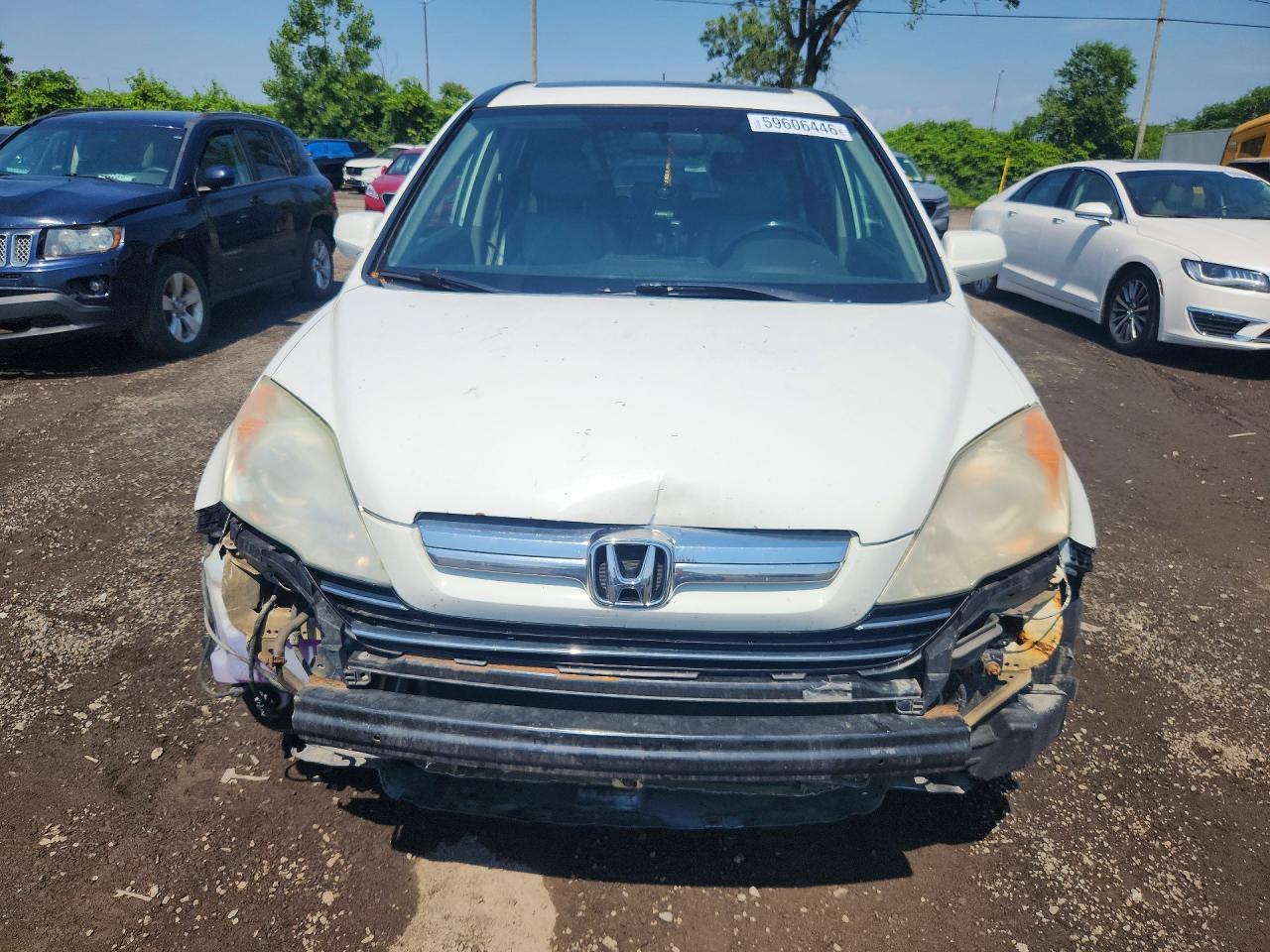 2009 Honda Cr-V Exl - Image 5
