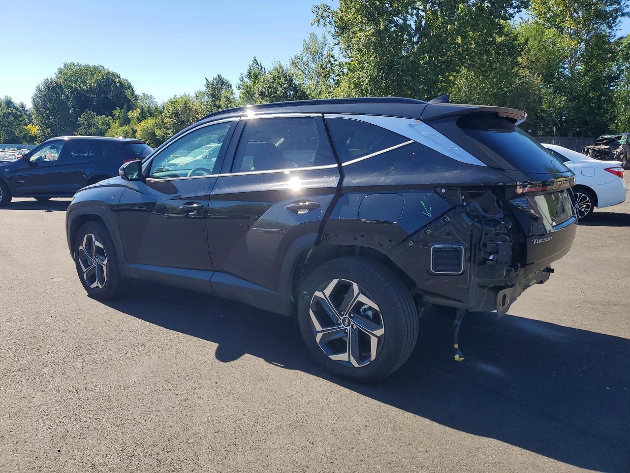 2024 Hyundai Tucson Limited - Фото 2