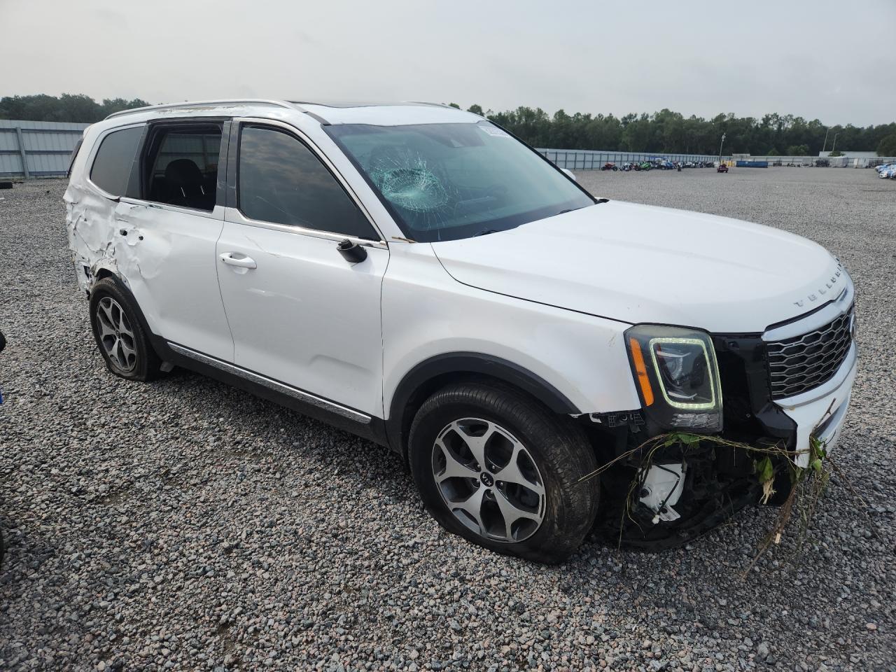 2020 Kia Telluride Ex - Image 4