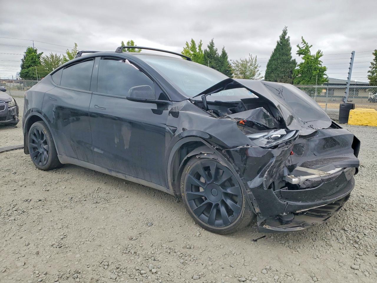 2024 Tesla Model Y - Фото 4
