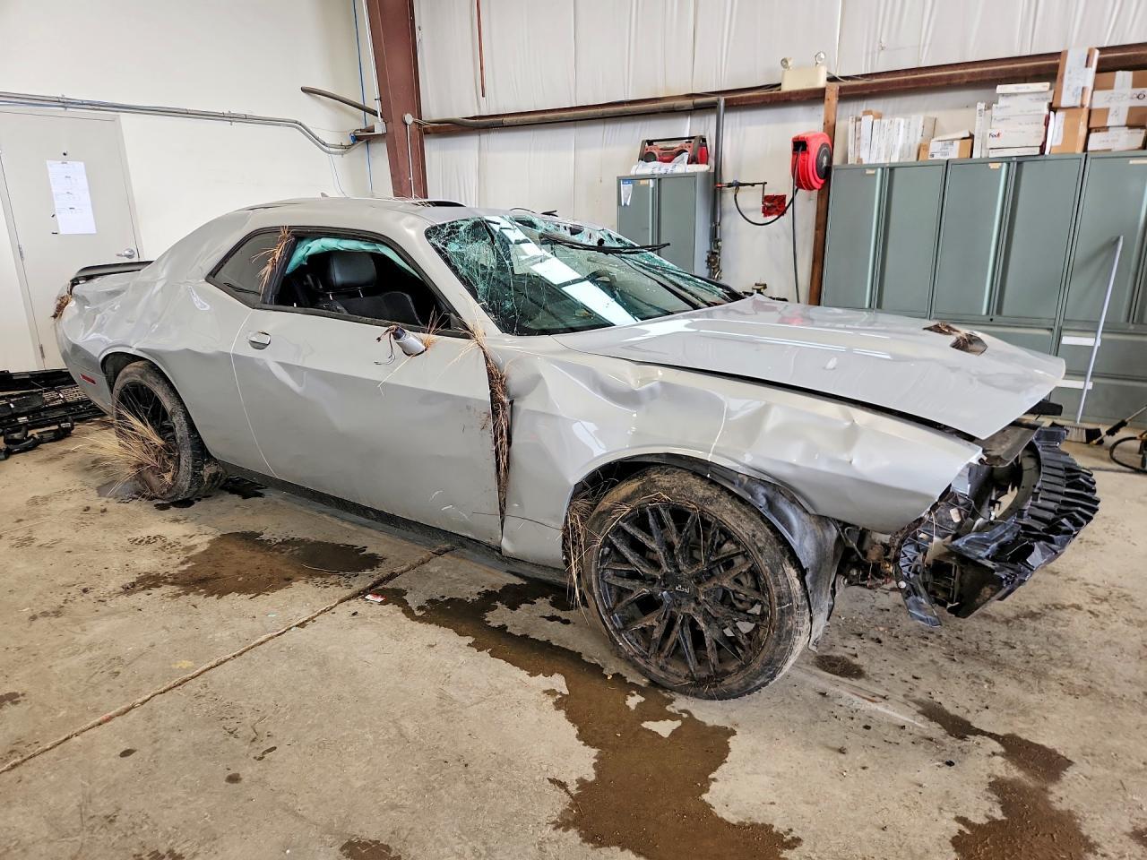 2023 Dodge Challenger Gt - Фото 4