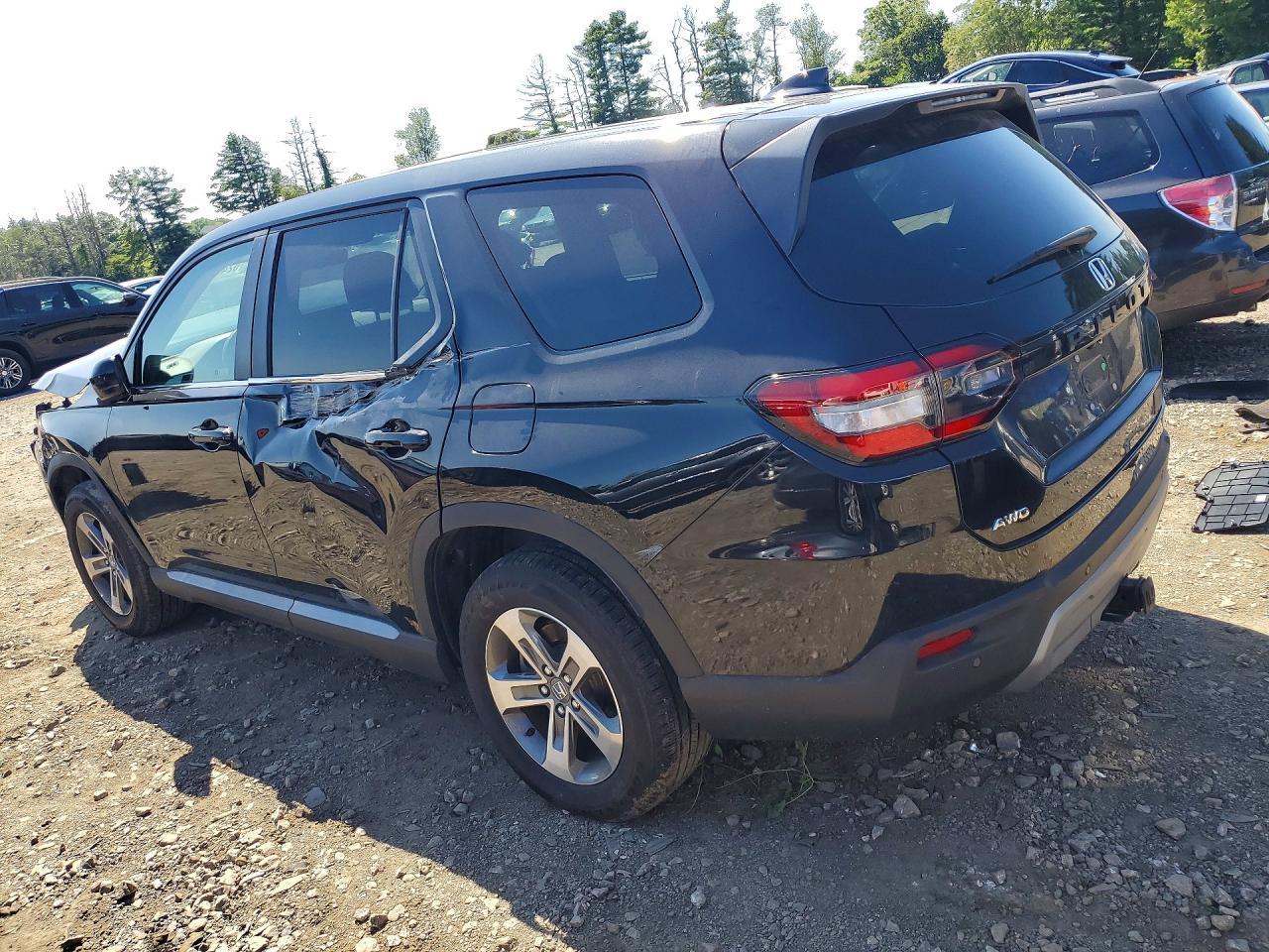 2024 Honda Pilot Exl - Image 2