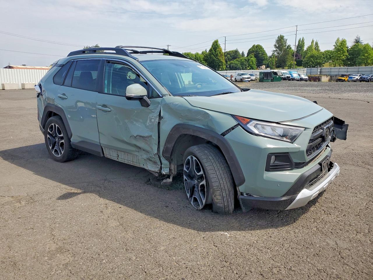 2019 Toyota Rav4 Adventure - Фото 4
