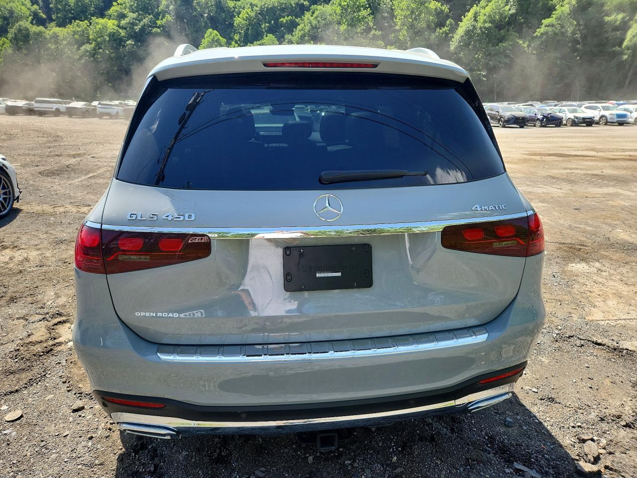 2025 Mercedes-Benz Gls 450 4Matic - Image 6