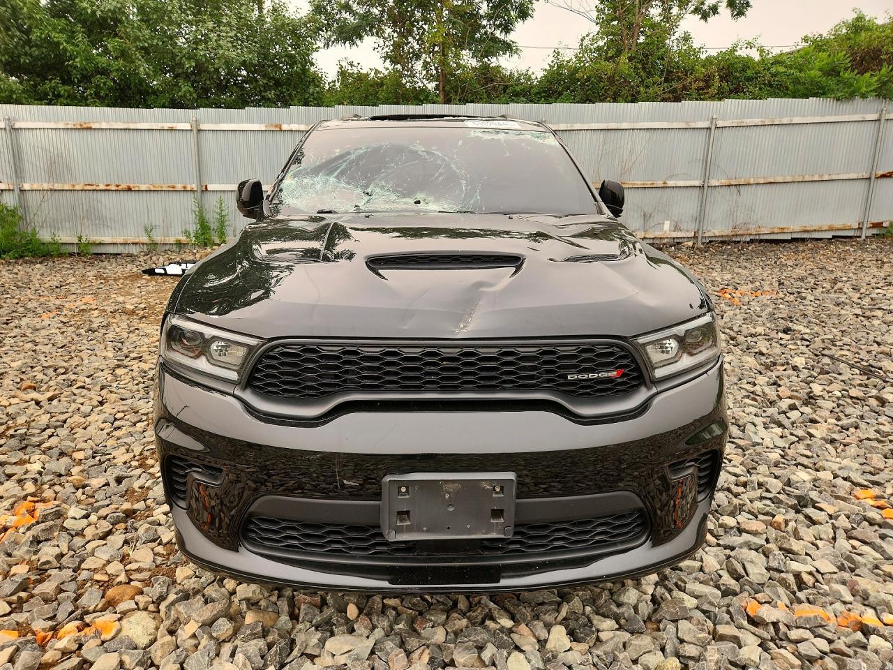 2024 Dodge Durango Gt - Фото 5