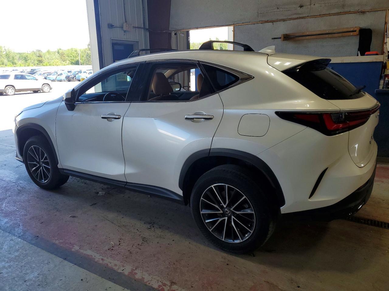 2024 Lexus Nx 350 Premium - Фото 2