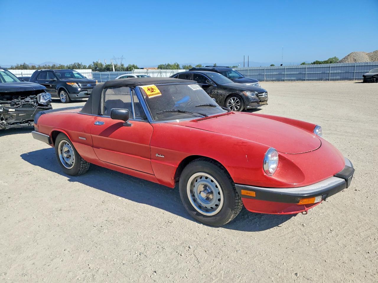 1987 Alfa Romeo Spider Graduate - Image 4