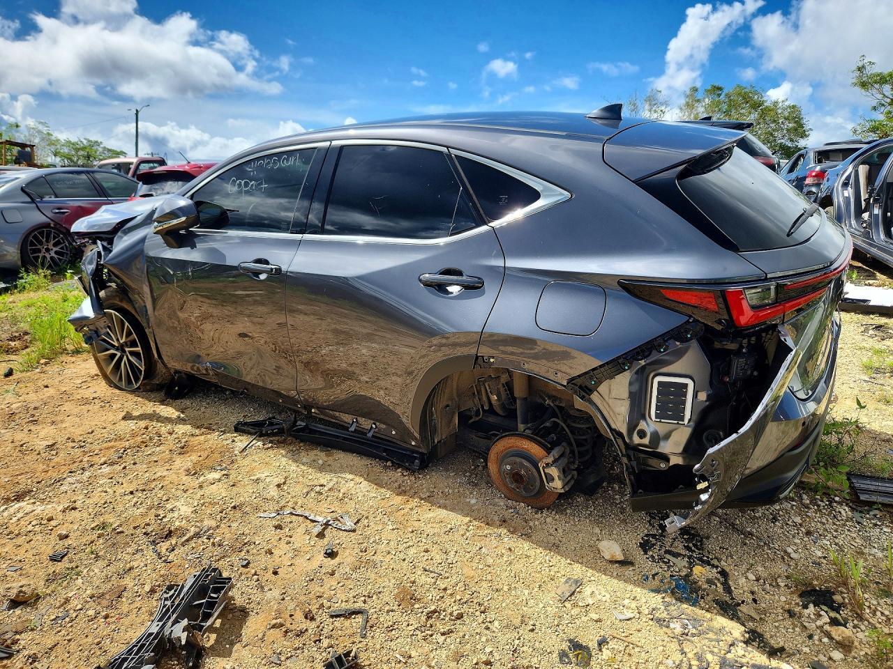 2024 Lexus Nx 250 Premium - Фото 2