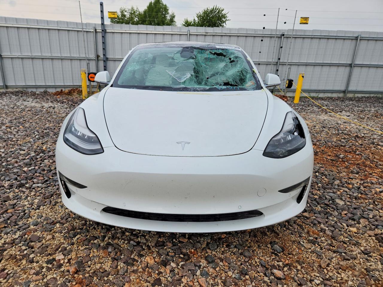 2020 Tesla Model 3 - Фото 5