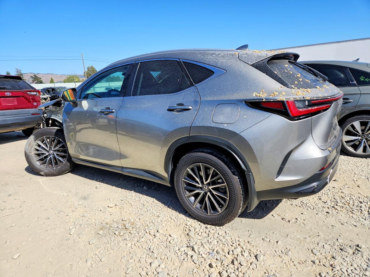 2024 Lexus Nx 250 Base - Фото 2