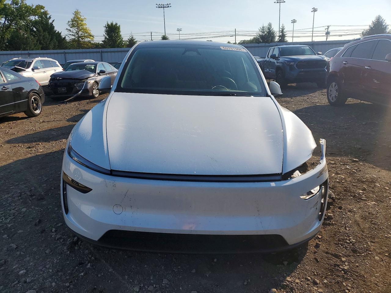 2026 Tesla Model Y - Image 5
