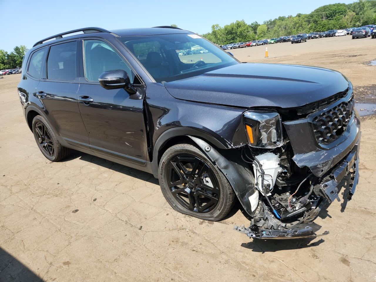 2025 Kia Telluride Sx X-Line - Фото 4