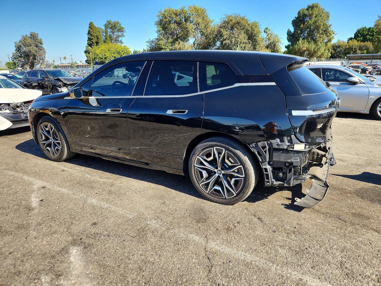 2024 BMW Ix xDrive50 - Фото 2