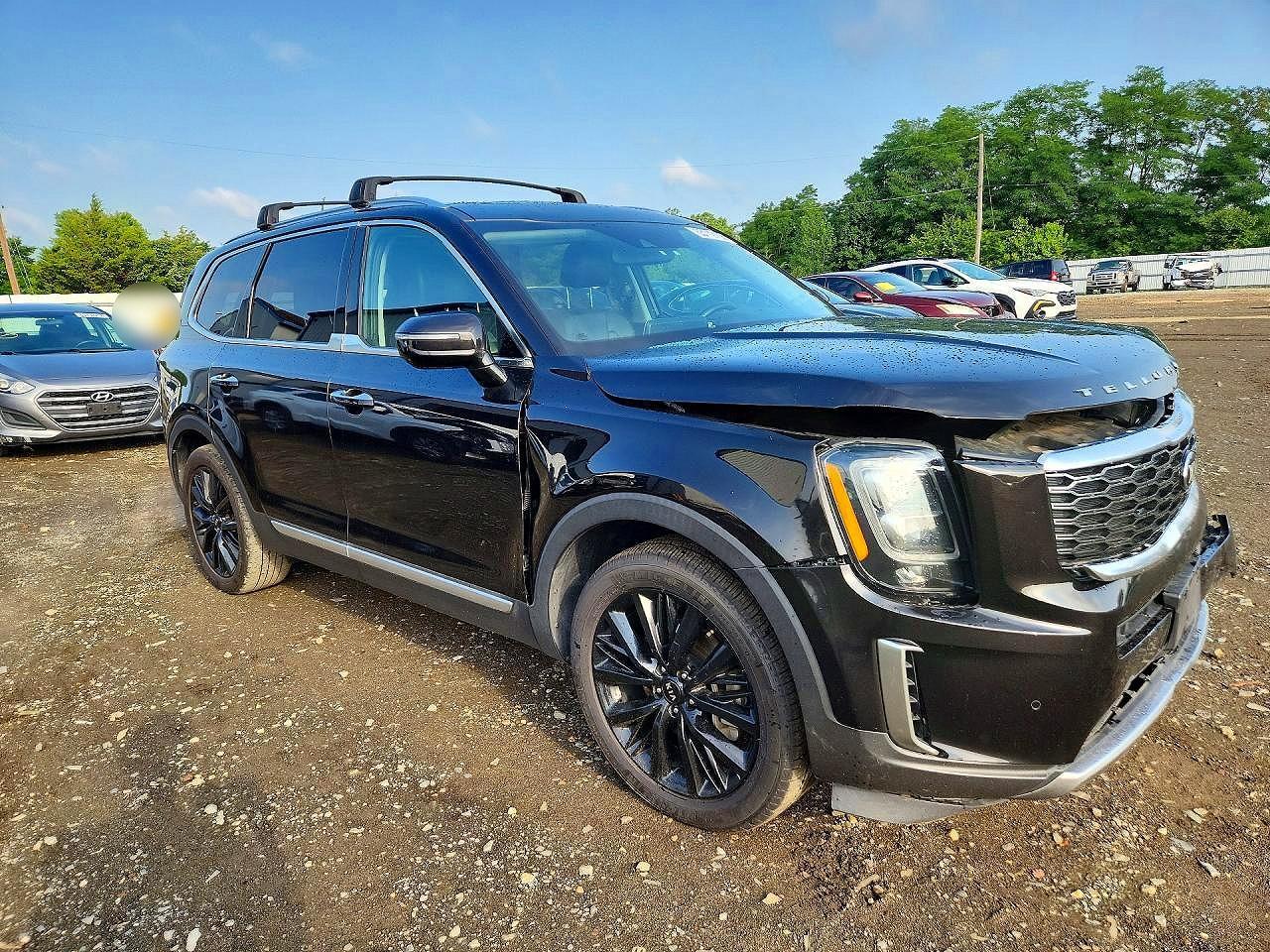 2021 Kia Telluride Sx - Image 4