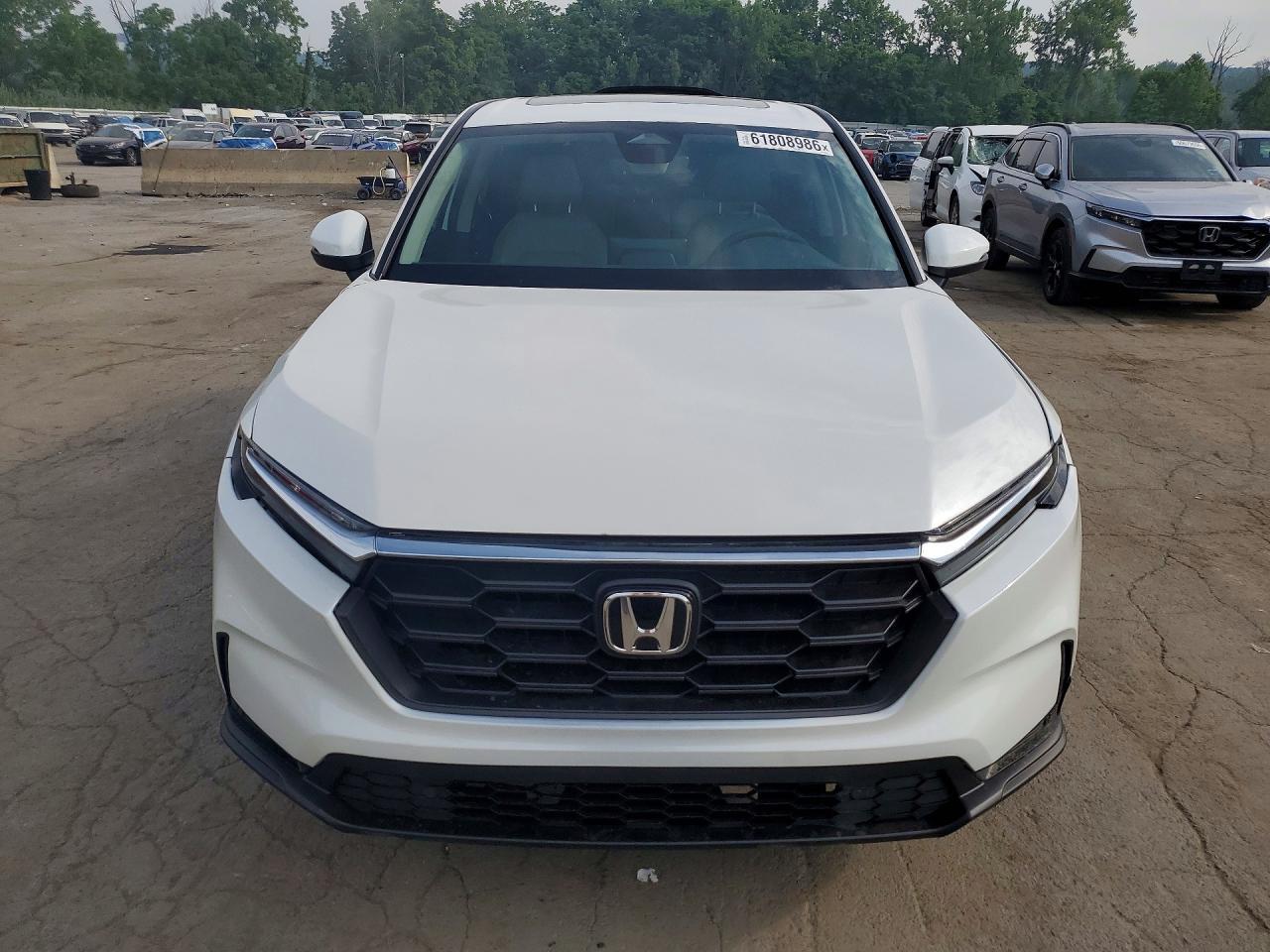 2025 Honda Cr-V Exl - Image 5