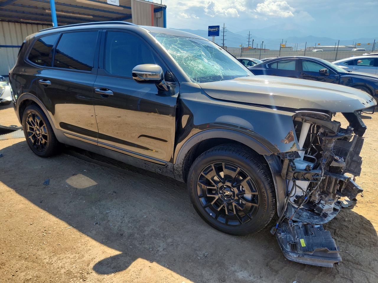 2022 Kia Telluride Sx - Фото 4