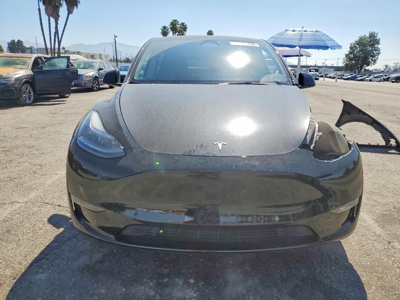 2023 Tesla Model Y - Фото 5