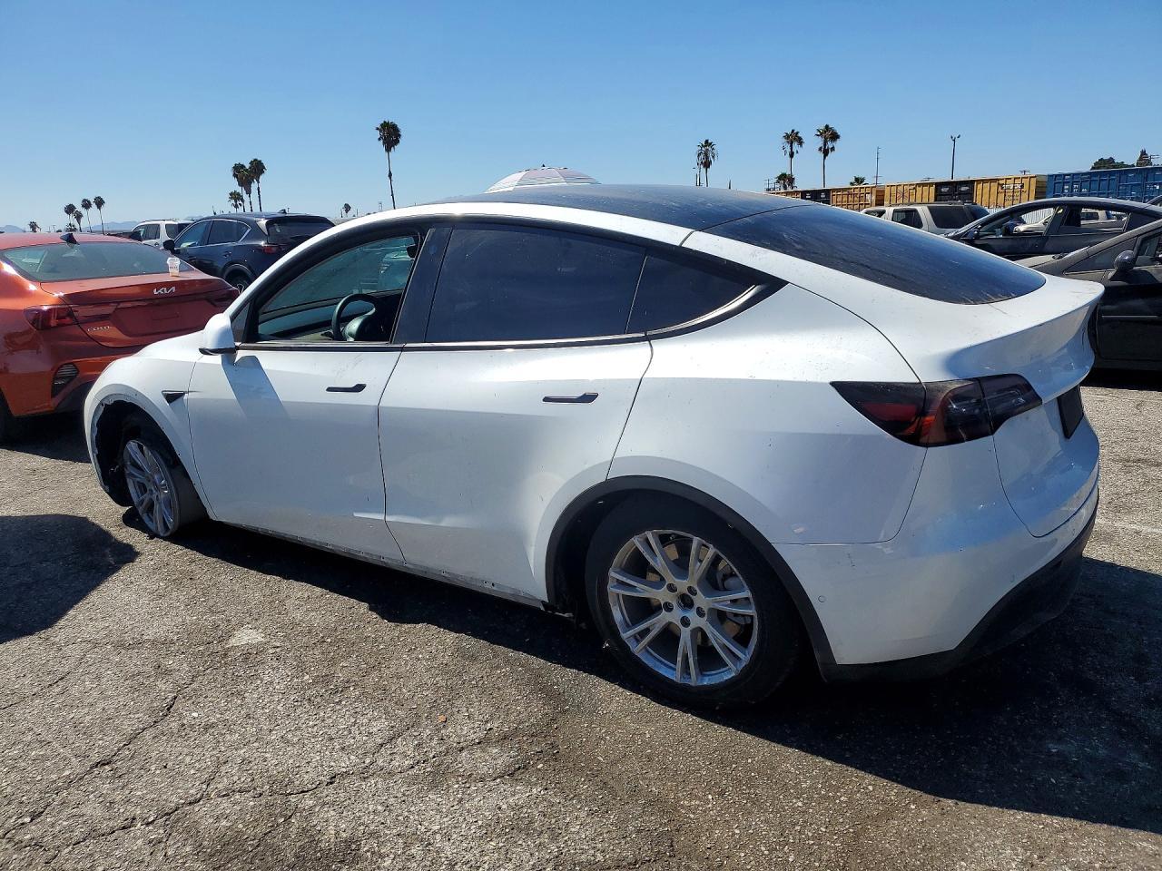 2021 Tesla Model Y - Фото 2