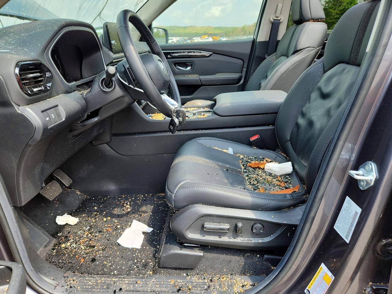 2025 Honda Pilot Touring - Image 7