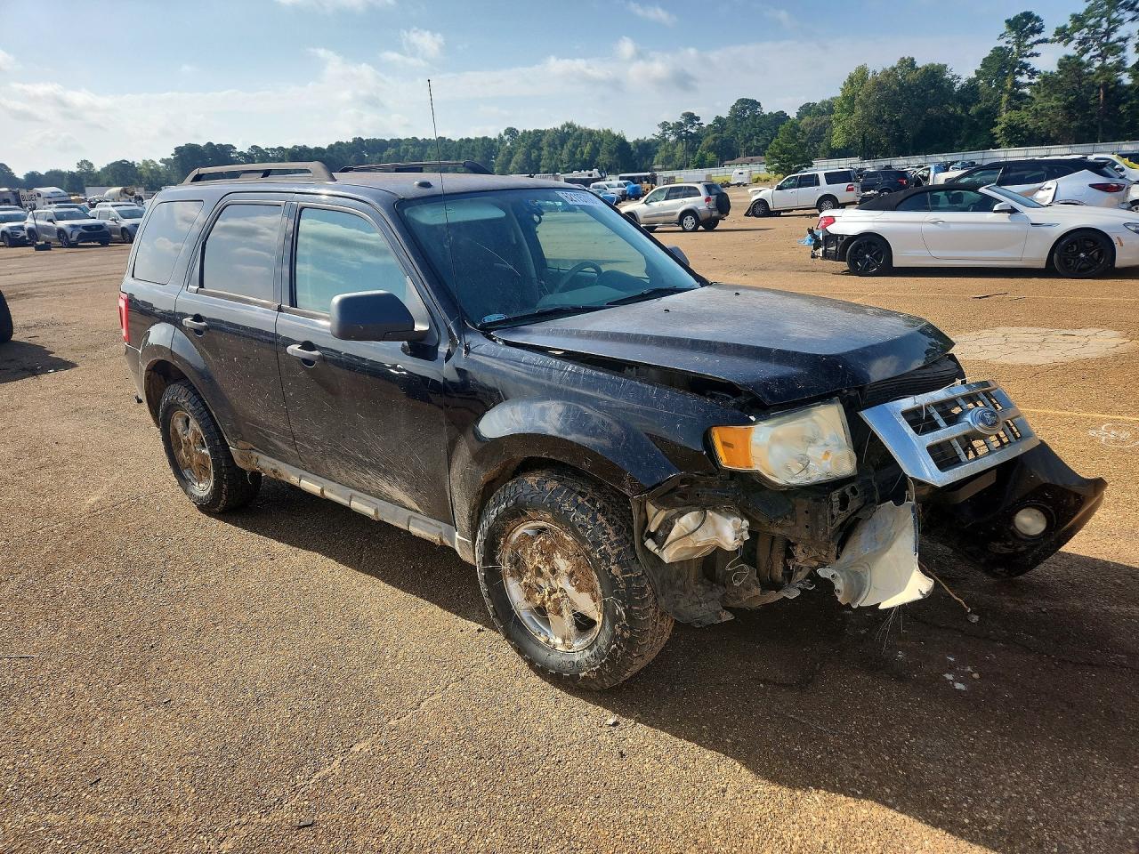 2009 Ford Escape Xlt - Фото 4