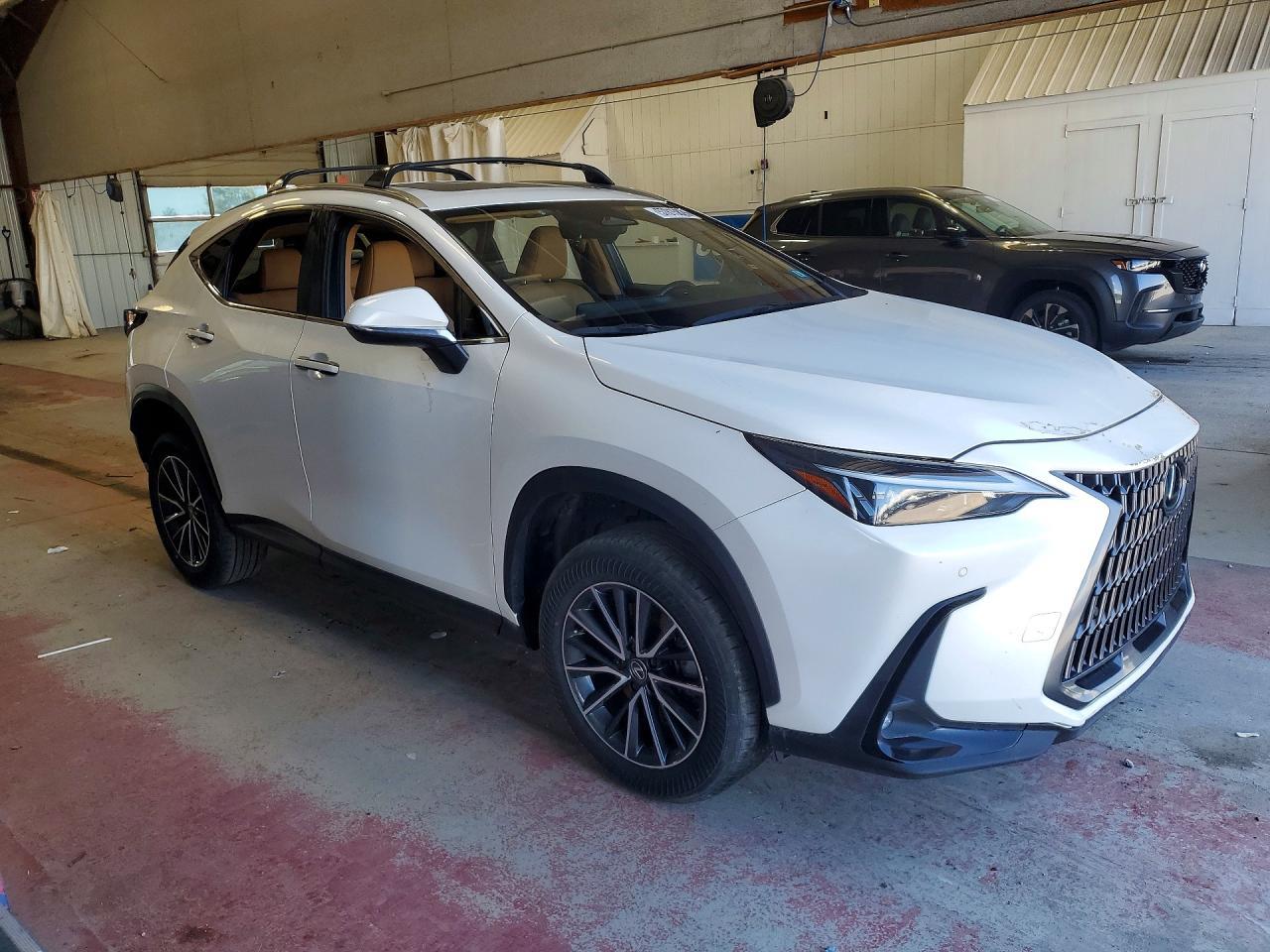 2024 Lexus Nx 350 Premium - Фото 4