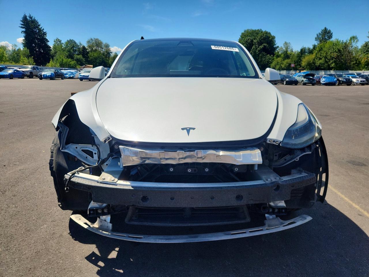 2022 Tesla Model Y - Image 5