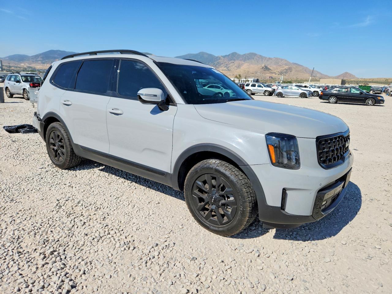 2024 Kia Telluride Sx X-Pro - Фото 4