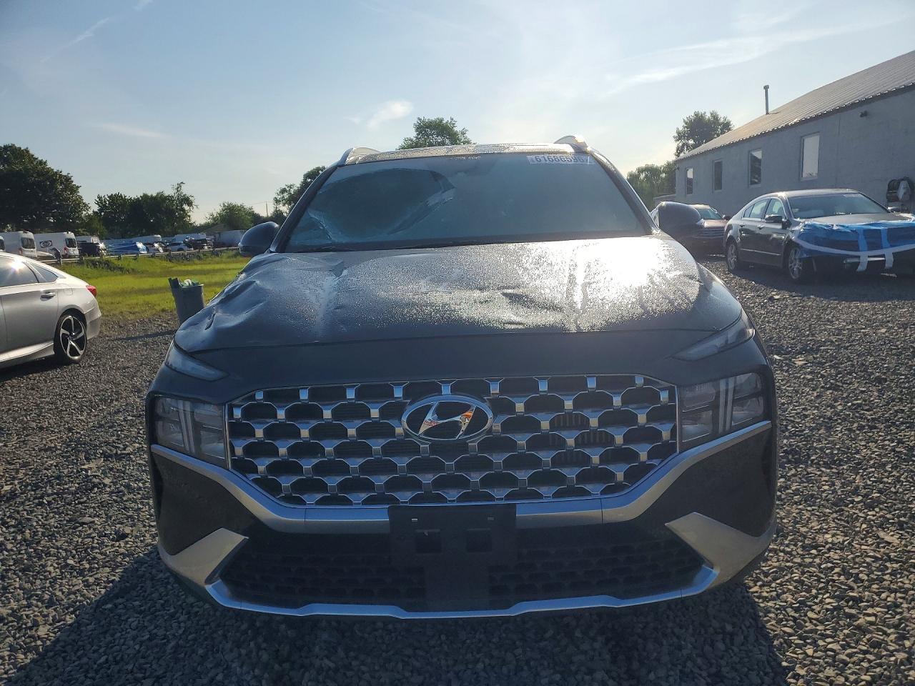 2023 Hyundai Santa Fe Sel Premium - Фото 5