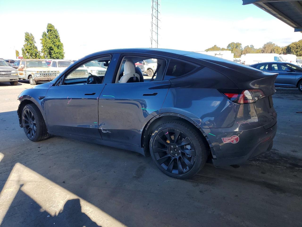 2022 Tesla Model Y - Фото 2