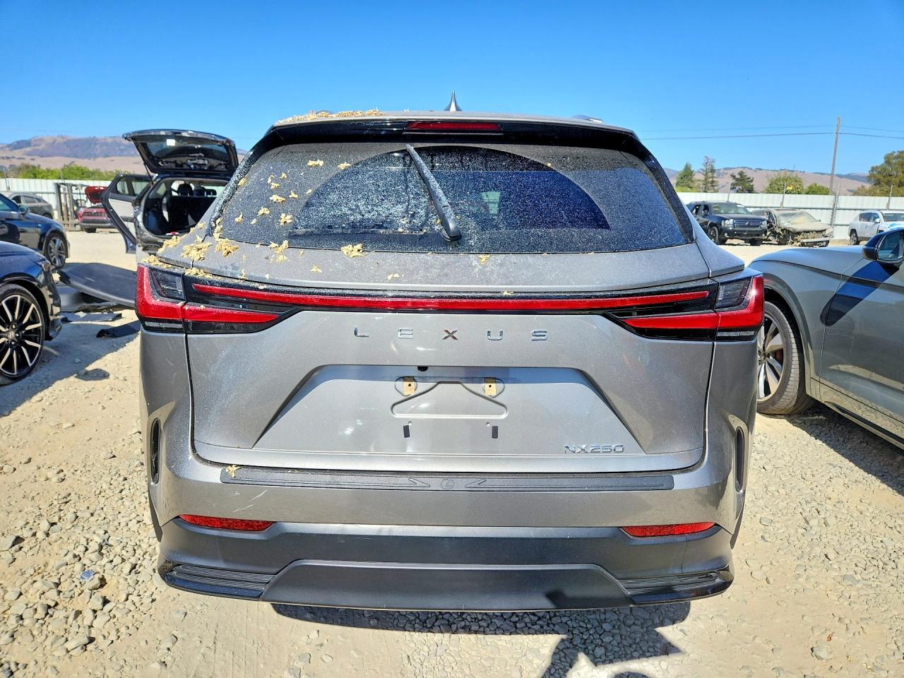 2024 Lexus Nx 250 Base - Фото 6