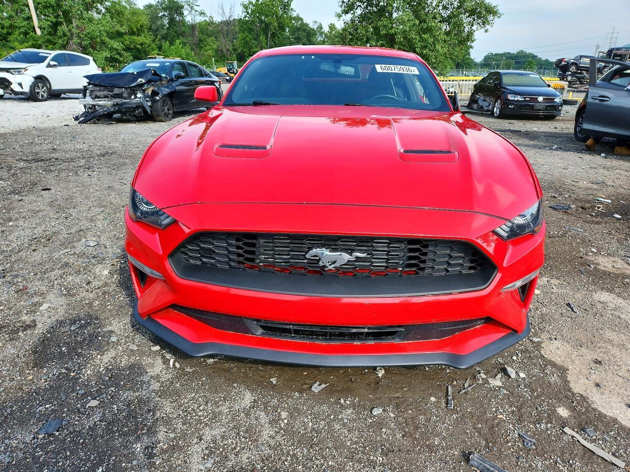 2019 Ford Mustang - Фото 5
