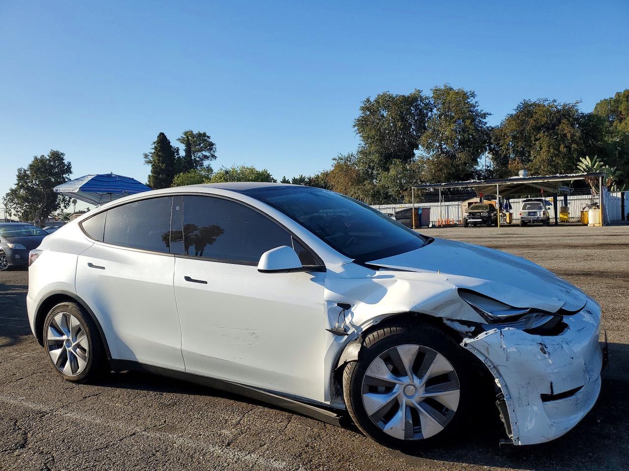 2023 Tesla Model Y - Фото 4