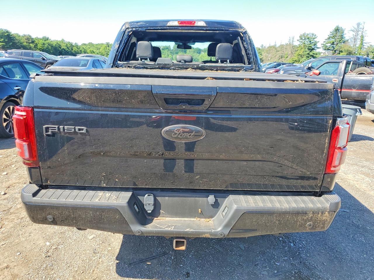 2016 Ford F150 Supercrew - Image 6