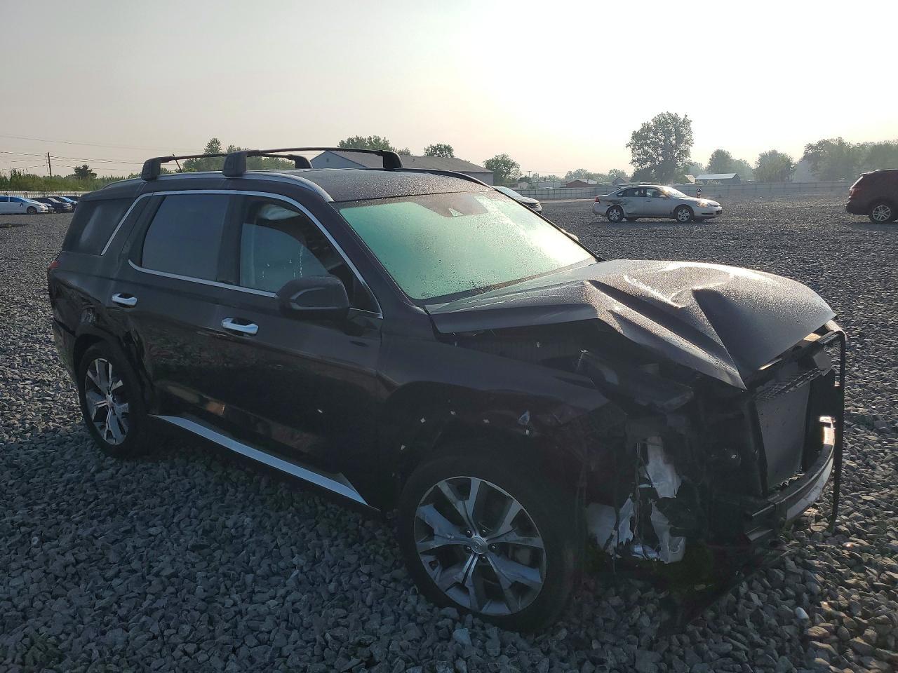 2021 Hyundai Palisade Sel - Фото 4