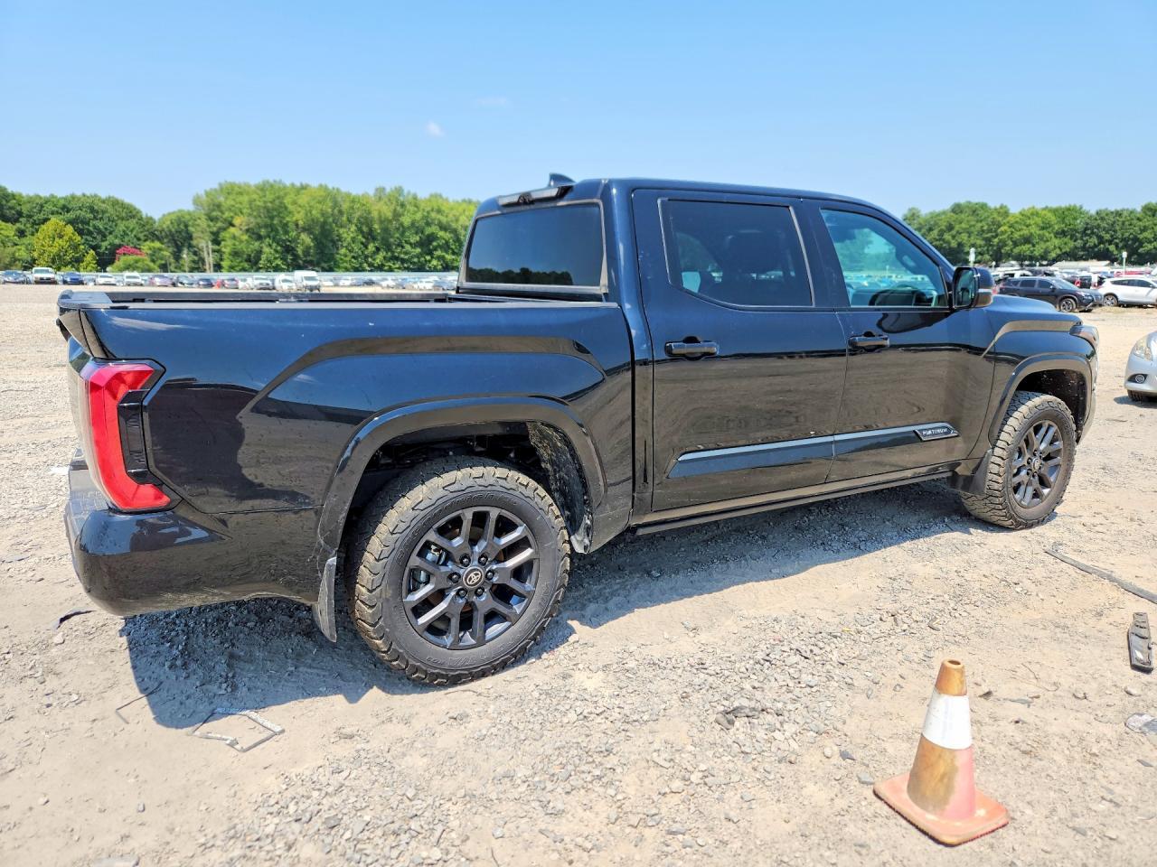 2025 Toyota Tundra Platinum - Фото 3