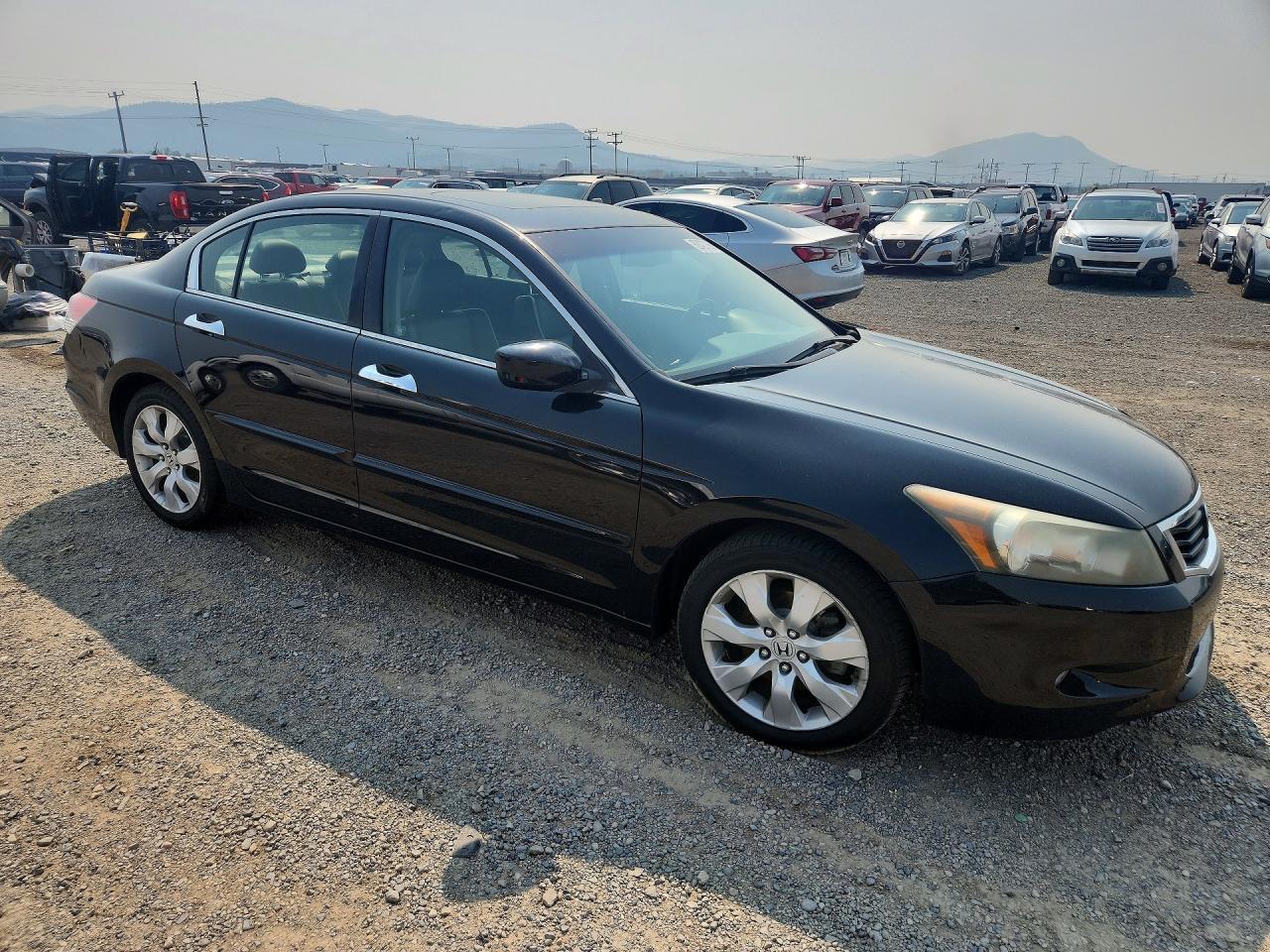 2009 Honda Accord Exl - Фото 4