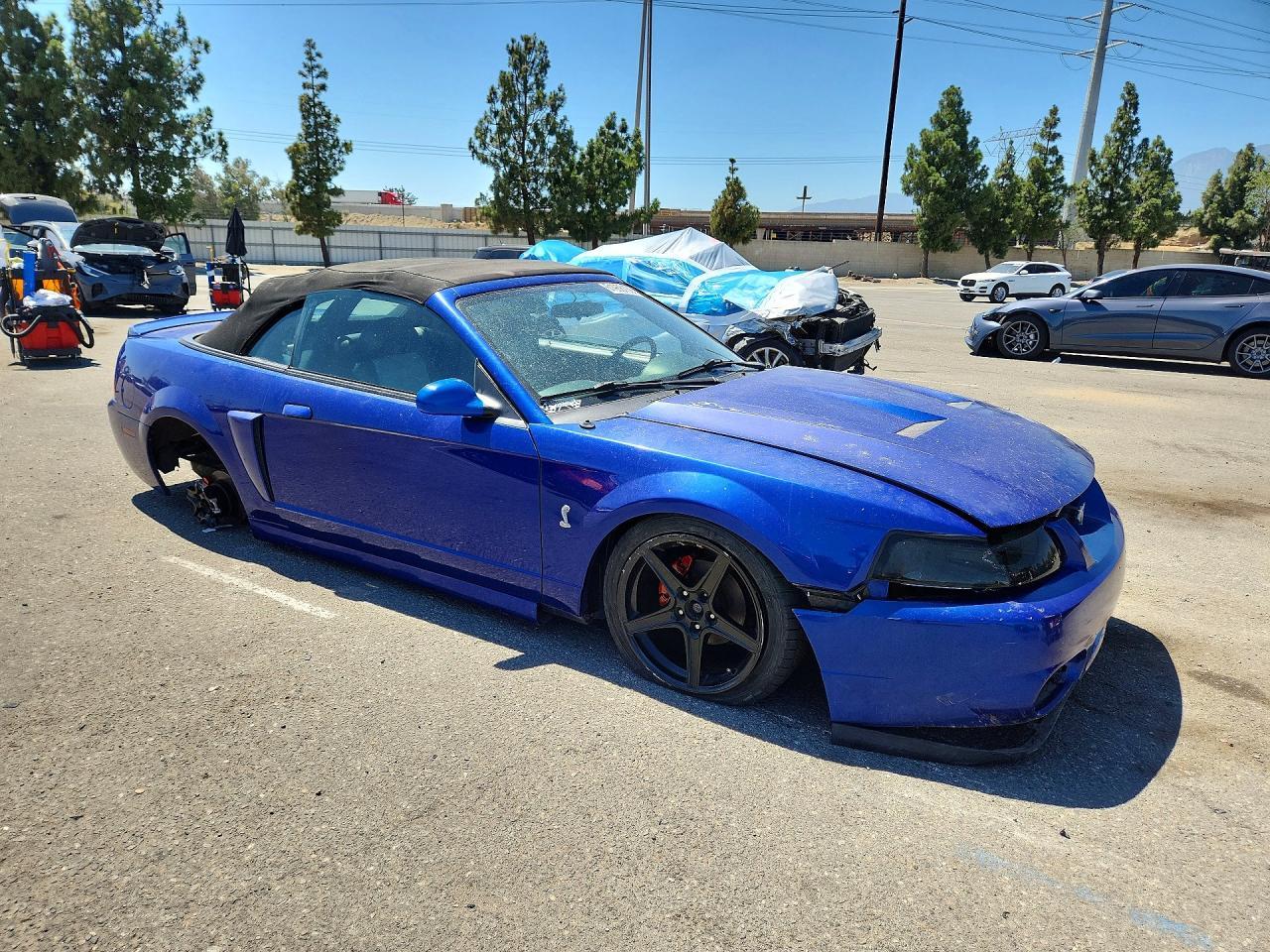 2003 Ford Mustang Cobra Svt - Фото 4