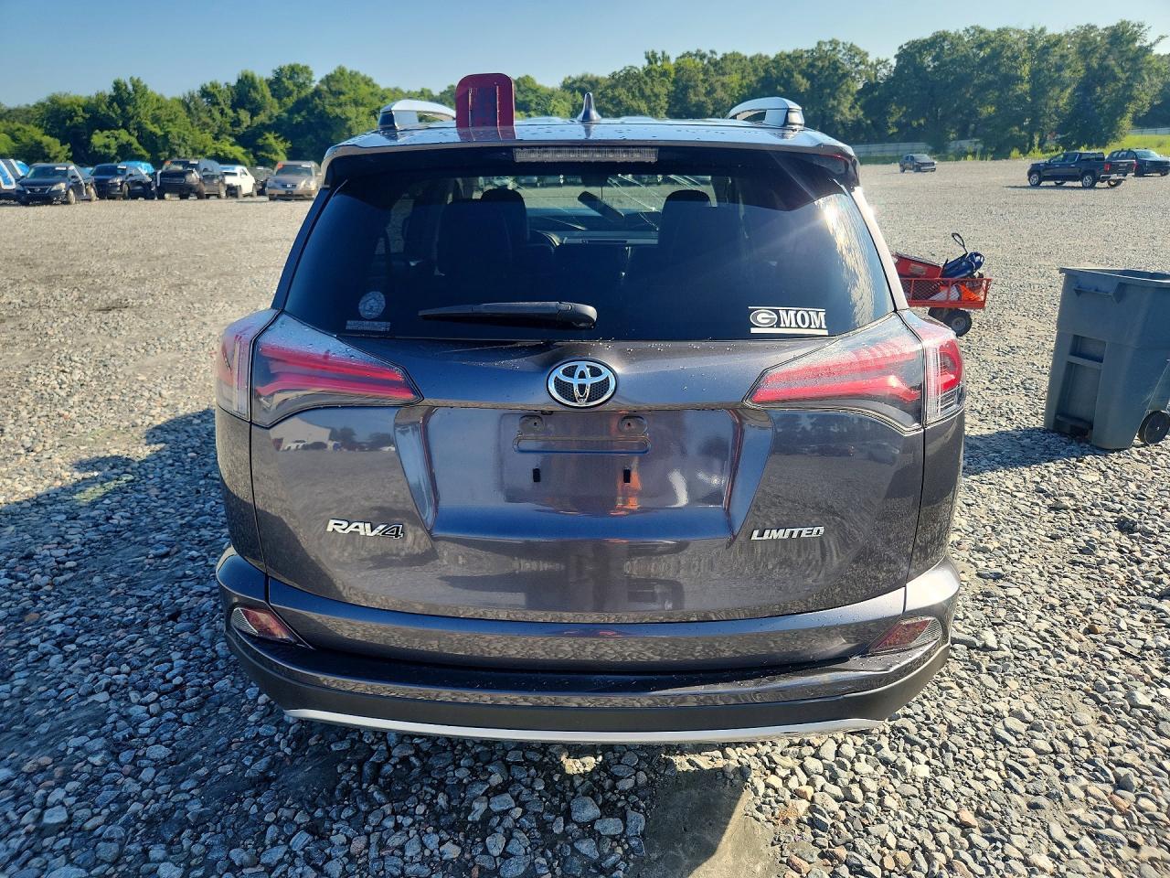 2018 Toyota Rav4 Limited - Фото 6