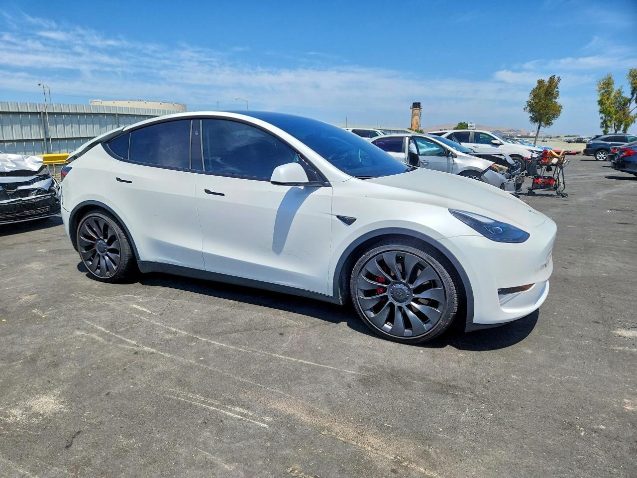 2023 Tesla Model Y - Image 4