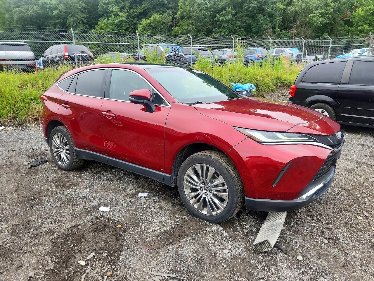 2023 Toyota Venza Limited - Фото 4