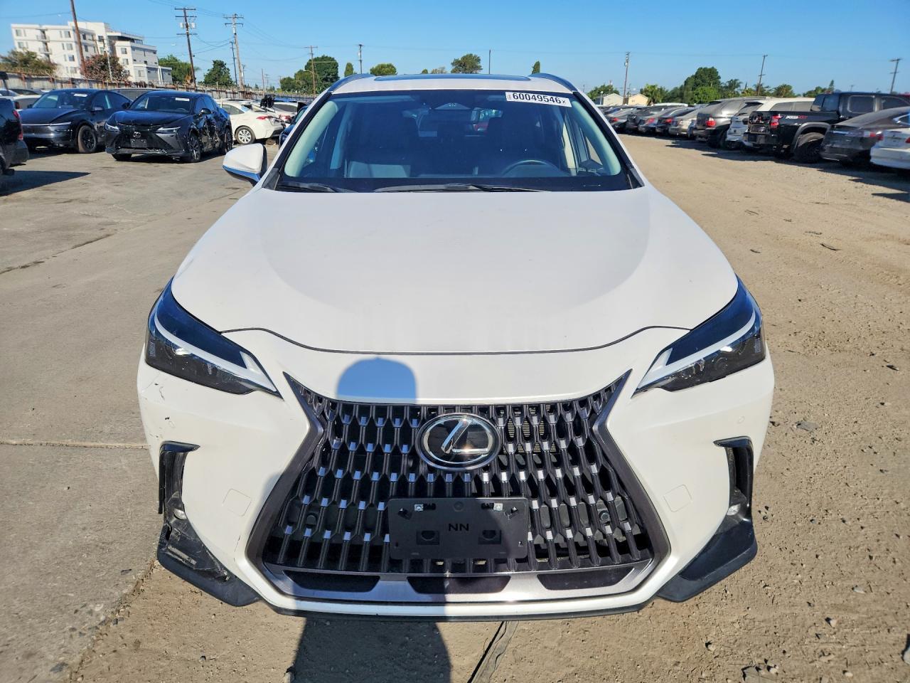 2024 Lexus Nx 350H Premium - Фото 5