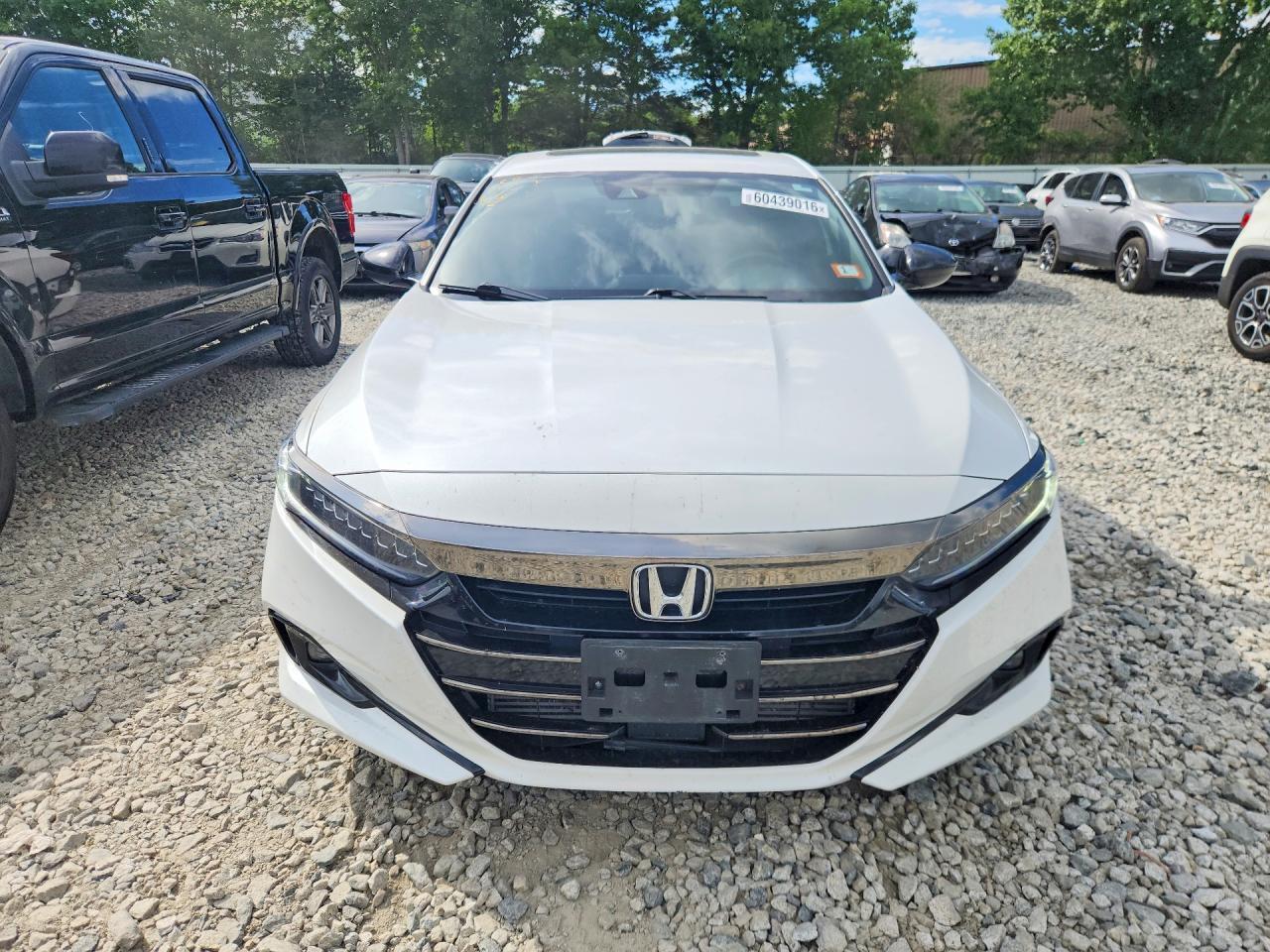 2022 Honda Accord Sport - Image 5